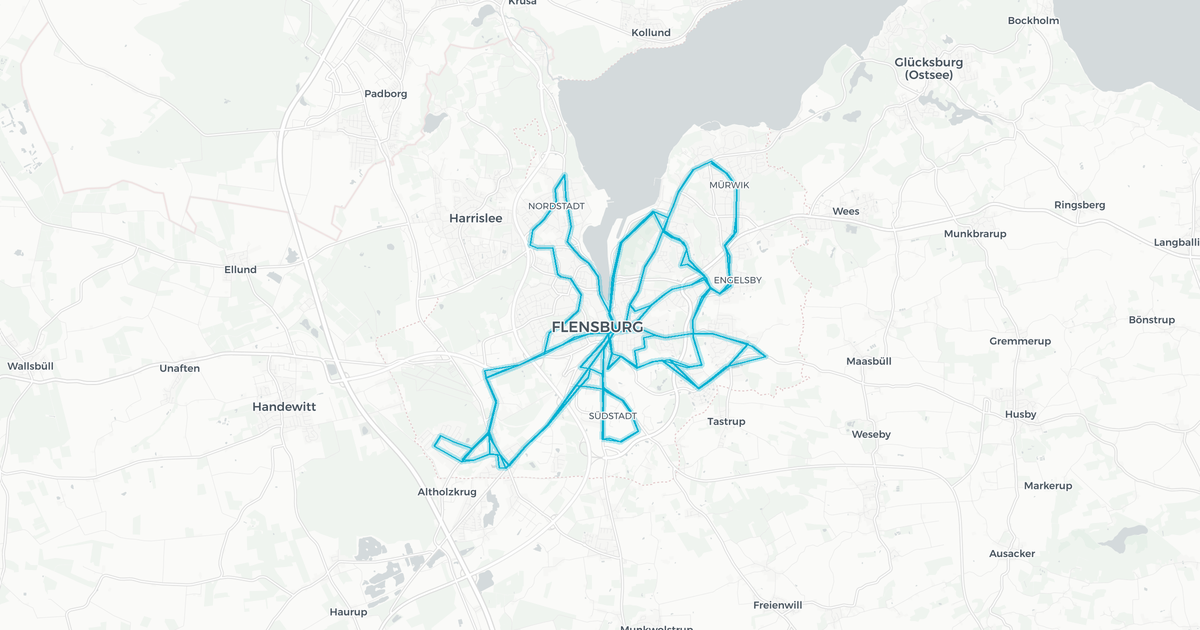 Liniennetz von Aktiv Bus Flensburg GmbH