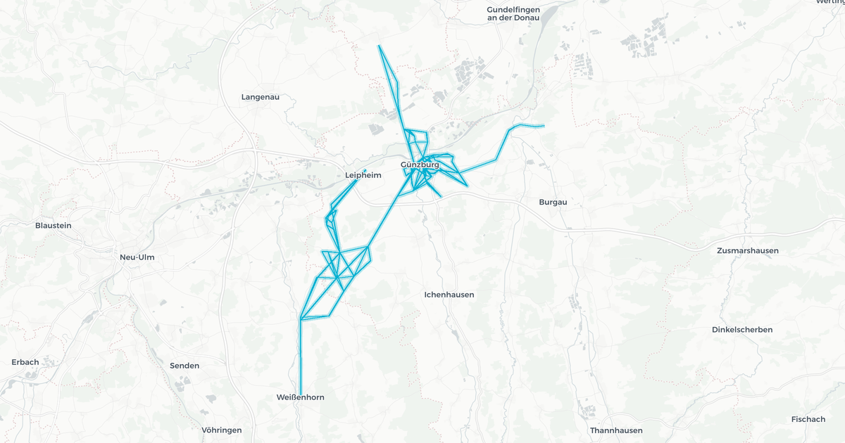 Liniennetz von Bettighofer