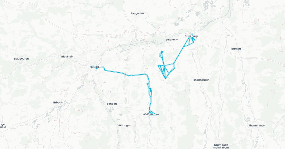 Liniennetz von Bettighofer