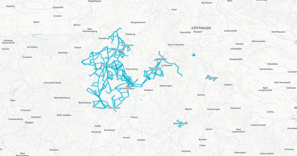 Liniennetz von BKW Bad Wildungen