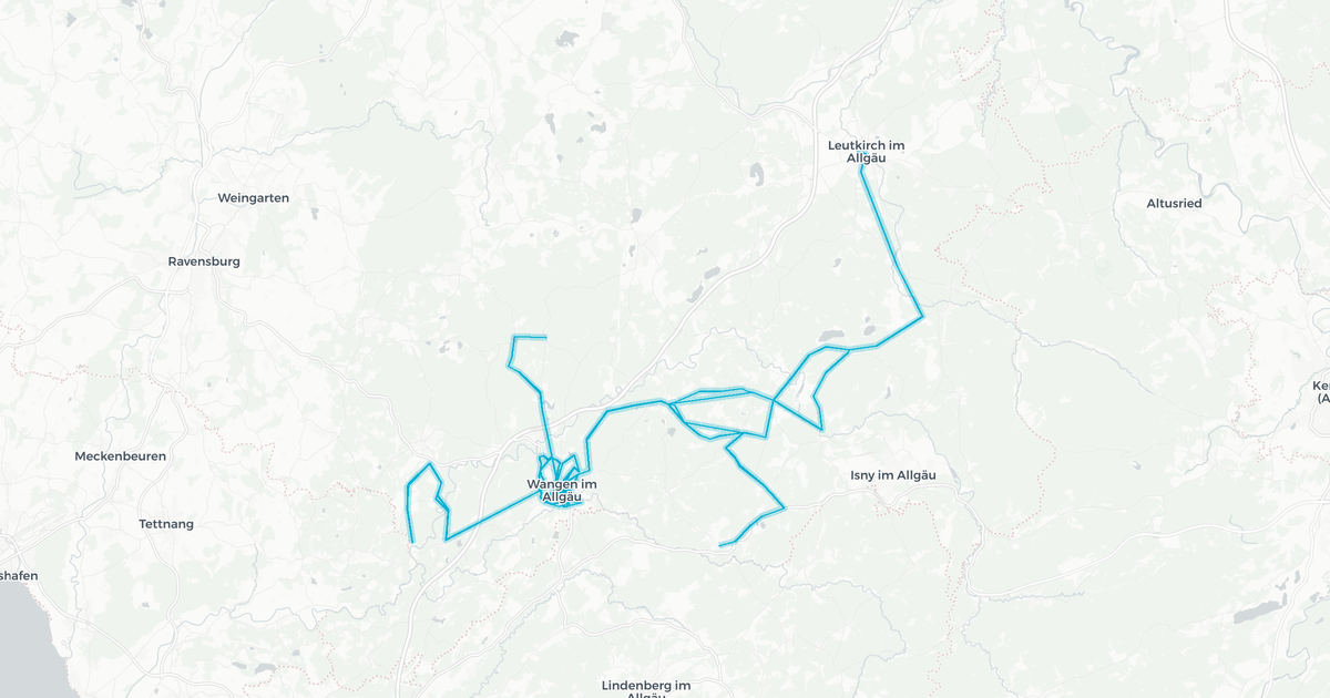 Liniennetz von Buchmann