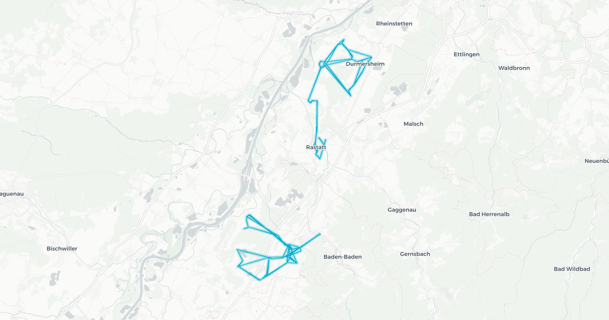 Liniennetz von Bus NVW (Walz)
