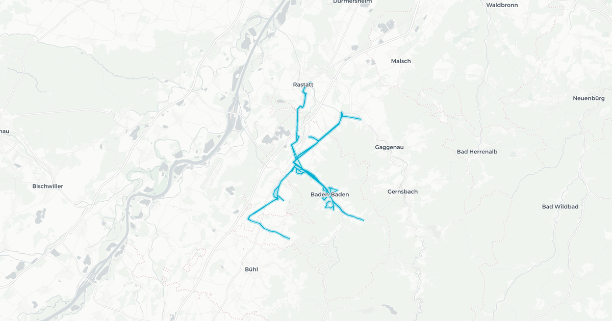 Liniennetz von Bus Stadtwerke Baden-Baden