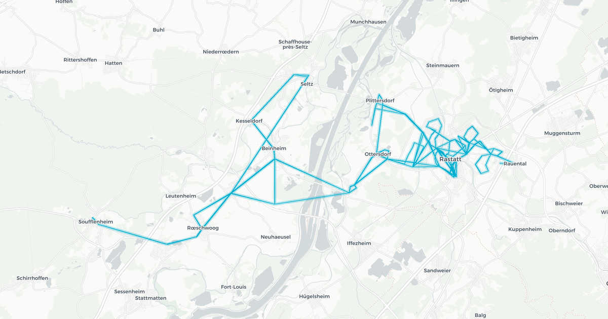 Liniennetz von Bus VERA