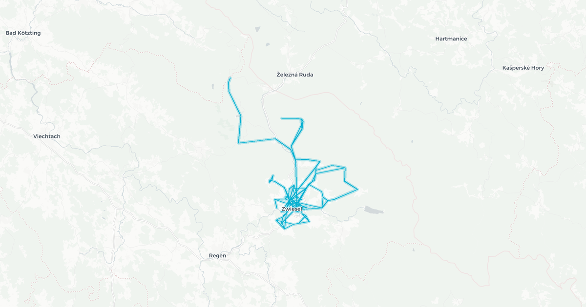 Liniennetz von Bus14