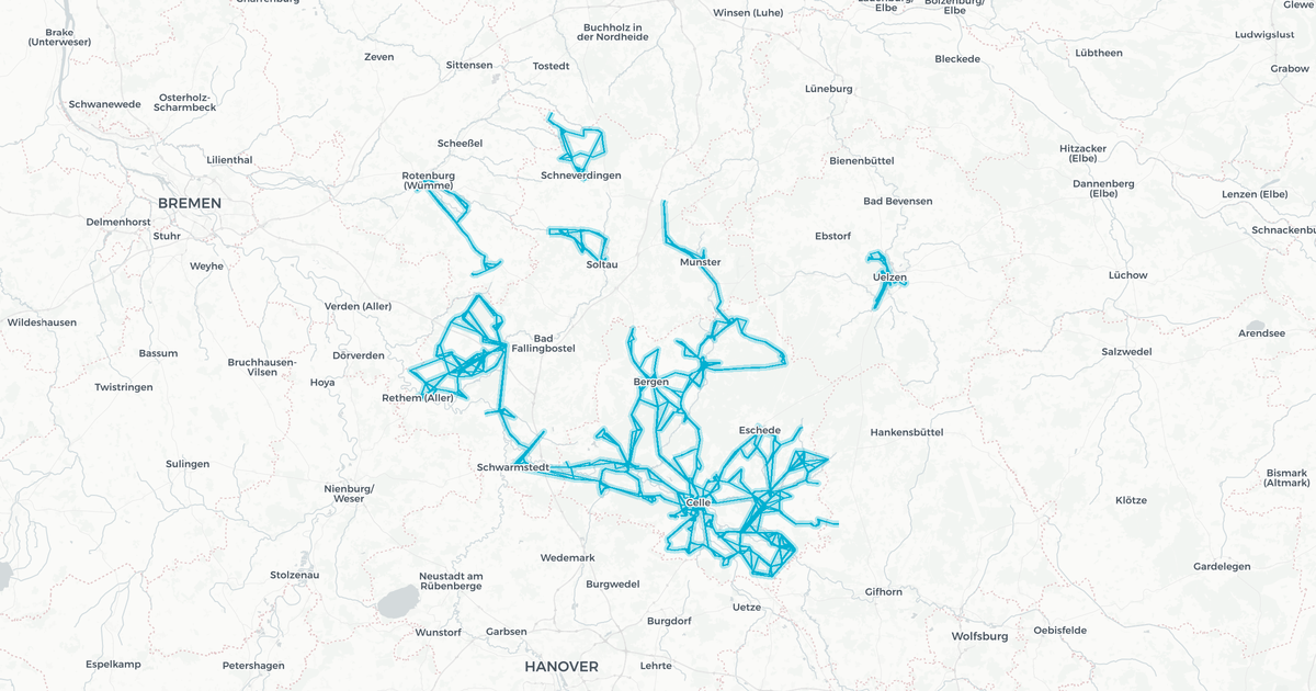 Liniennetz von Cebus