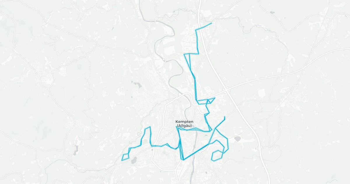 Liniennetz von Demmelmair