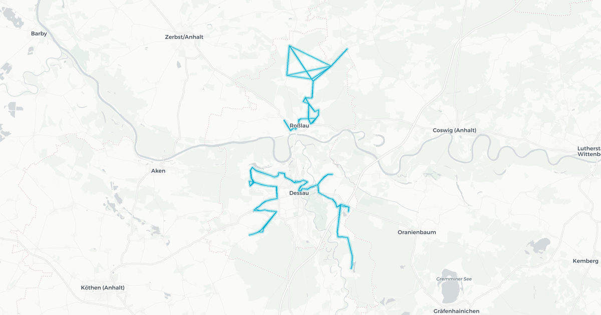 Liniennetz von Dessauer Verkehrsgesellschaft