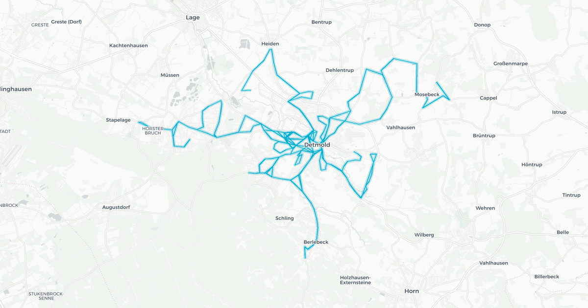 Liniennetz von Detmold