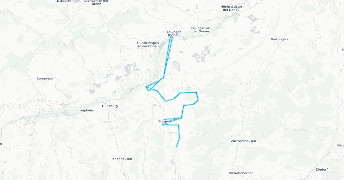 Liniennetz von Dirr/Stricker