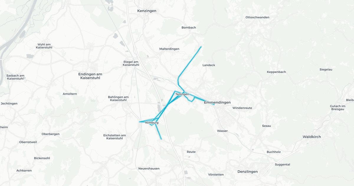 Liniennetz von Emmendingen