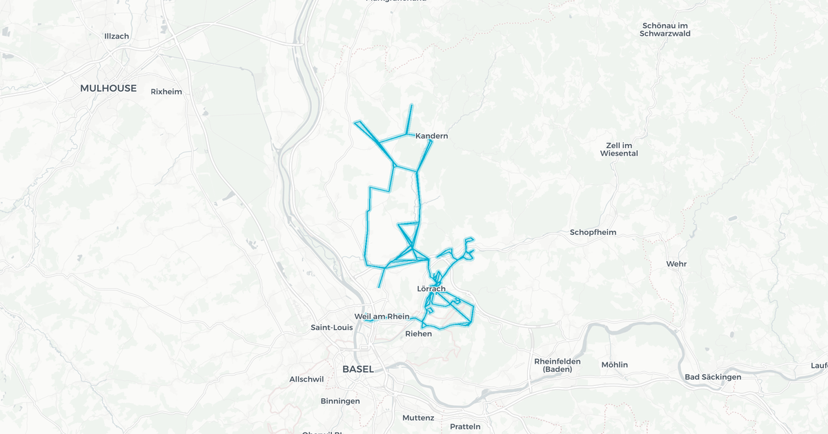 Liniennetz von Emmendingen