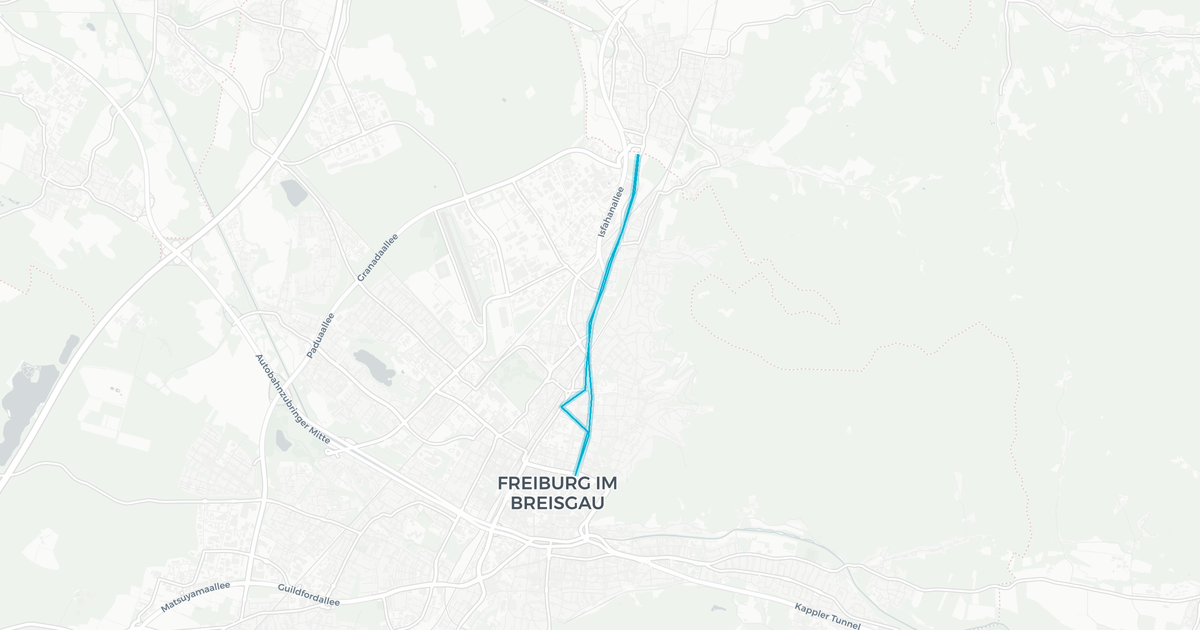 Liniennetz von FREMD - Unternehmer