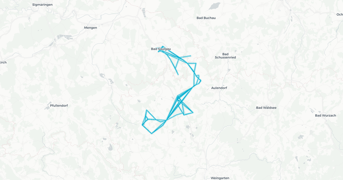 Liniennetz von Grabherr