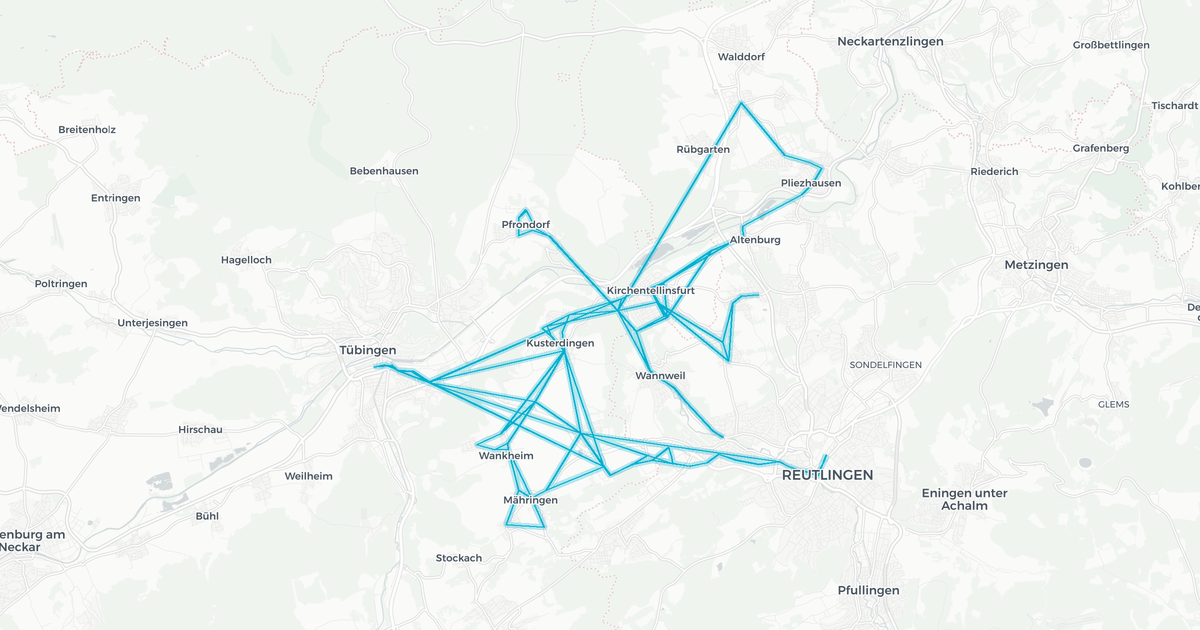 Liniennetz von Hartmann