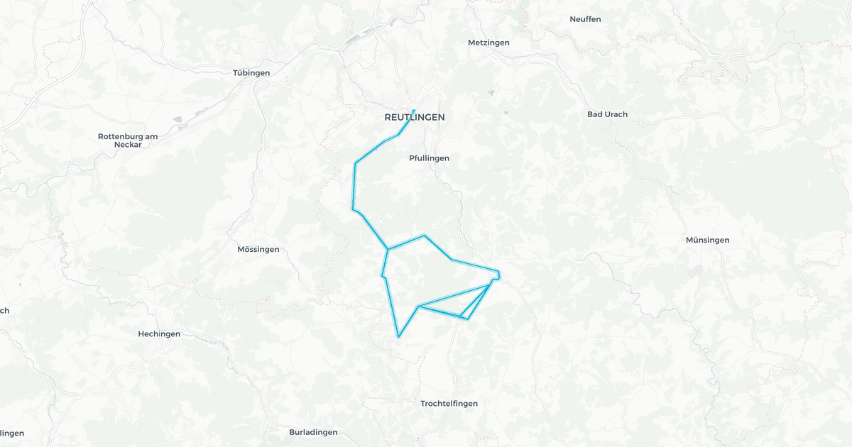Liniennetz von Leibfritz