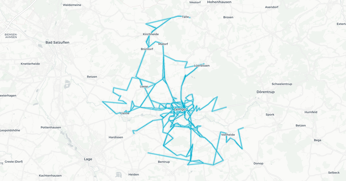 Liniennetz von Lemgo