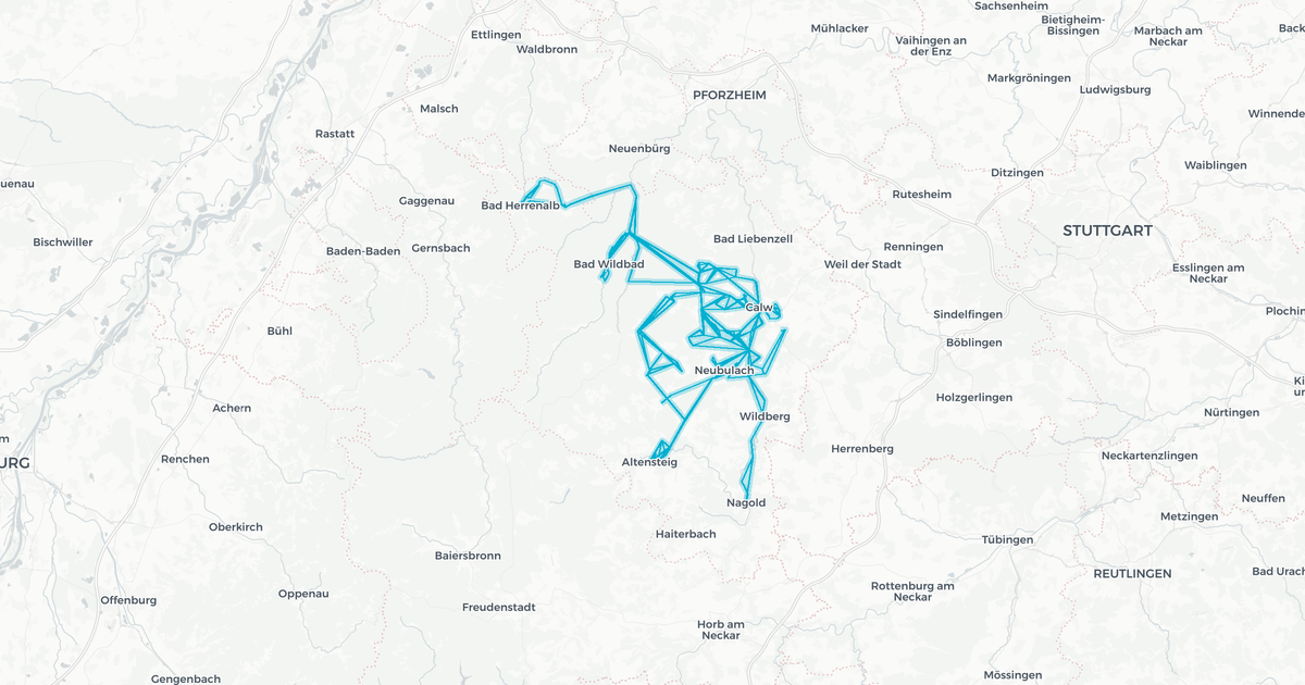Liniennetz von Linienbündel Mitte
