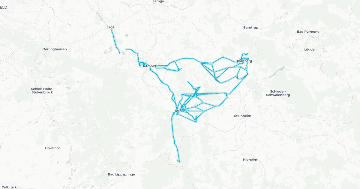 Liniennetz von Lippe2