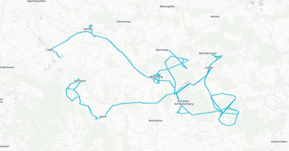Liniennetz von Lippe3