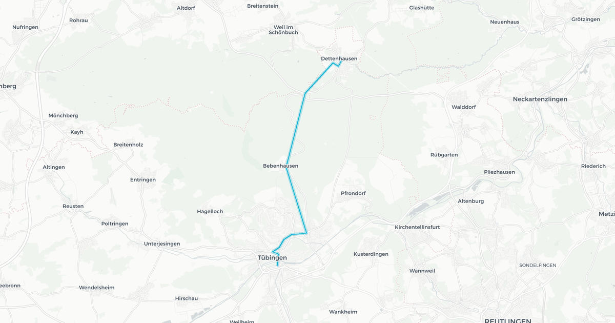 Liniennetz von Müller (FMO)