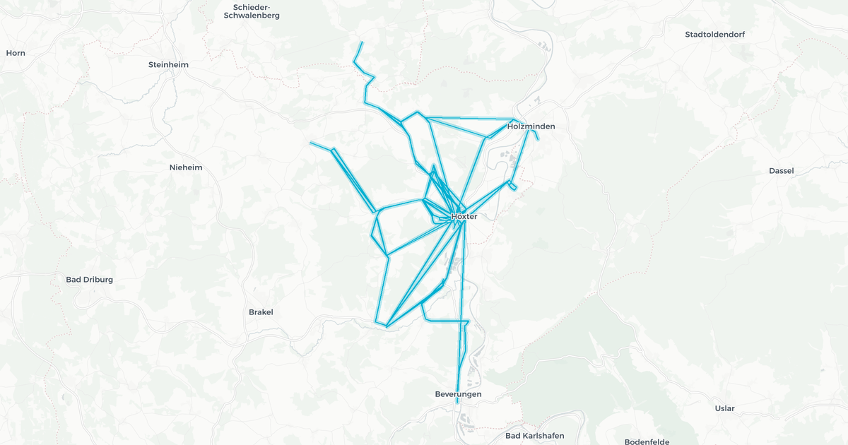 Liniennetz von nph-Linienbündel 05