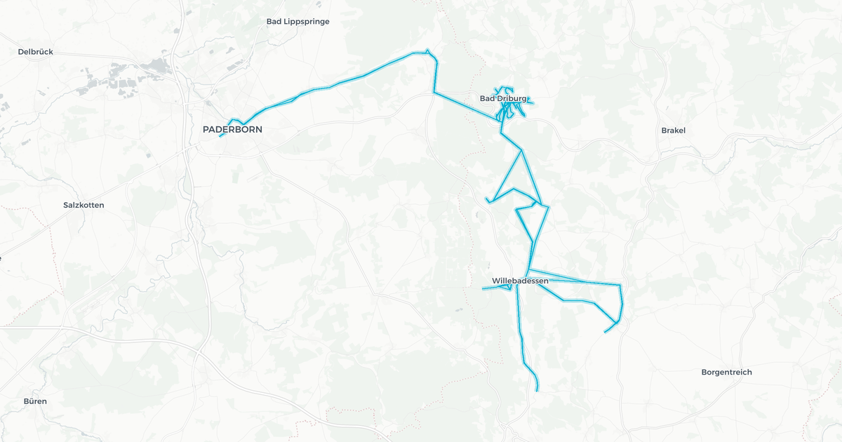 Liniennetz von nph-Linienbündel 10