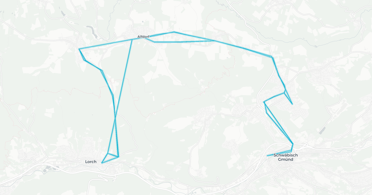 Liniennetz von Omnibus Dannenmann GmbH