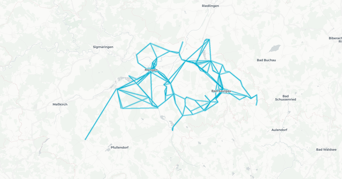 Liniennetz von Reisch GmbH