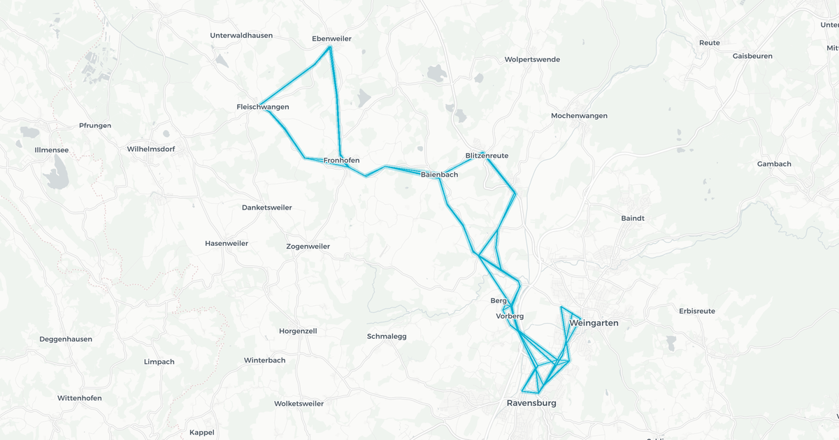 Liniennetz von Reisch