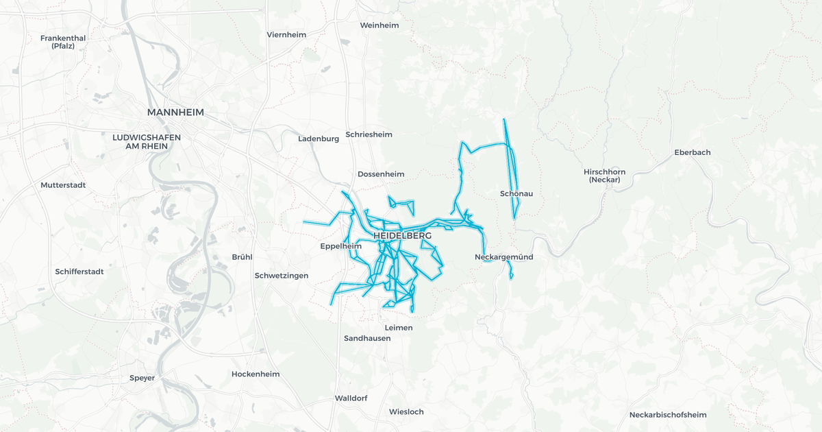Liniennetz von RNV Heidelberg (Bus)