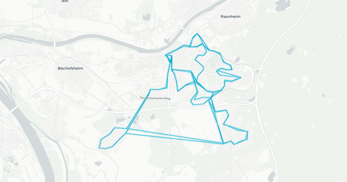 Liniennetz von Rüsselsheimer Mobilität