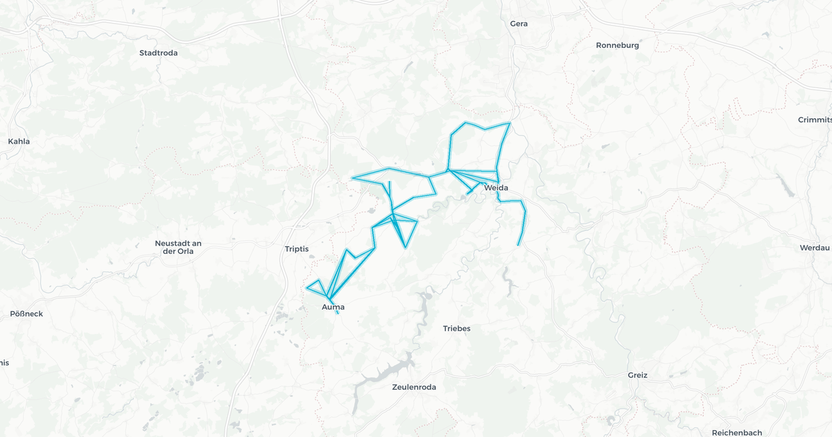 Liniennetz von RVG Gera