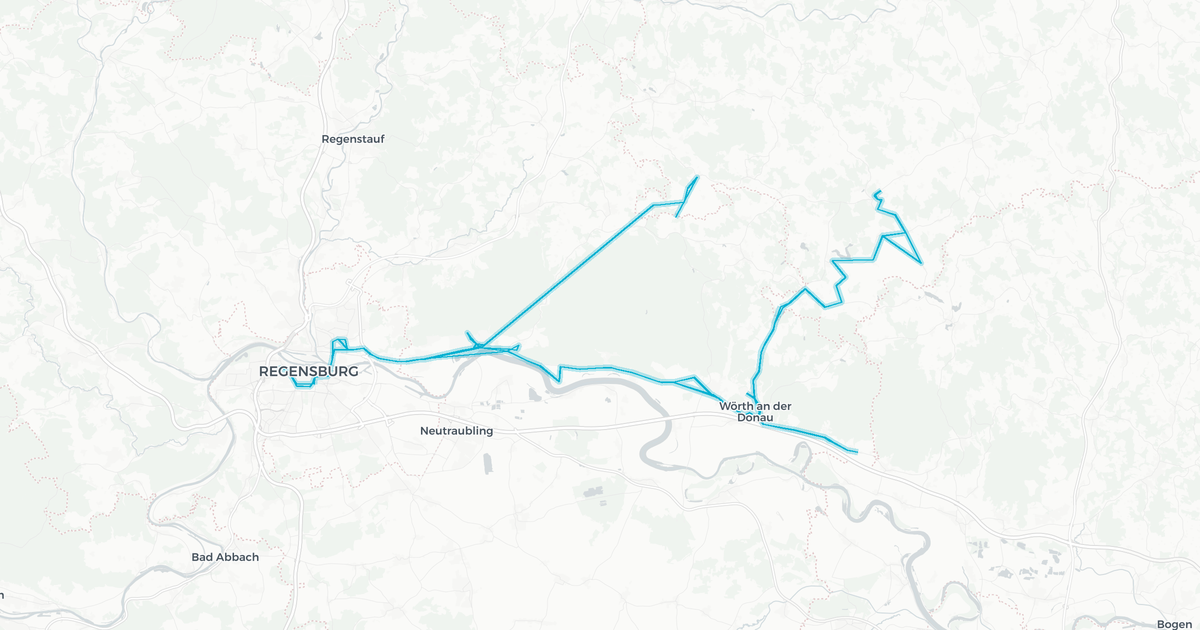 Liniennetz von RVV-VLC für EFA