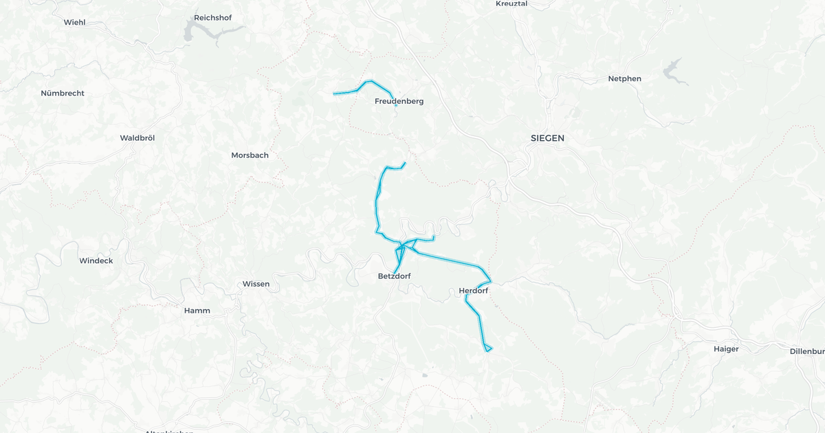 Liniennetz von Sonstige Unternehmen