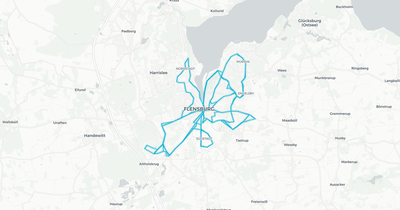 Liniennetz von Aktiv Bus Flensburg GmbH