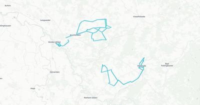 Liniennetz von AllerBus