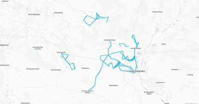 Liniennetz von BördeBus Verkehrsgesellschaft mbH