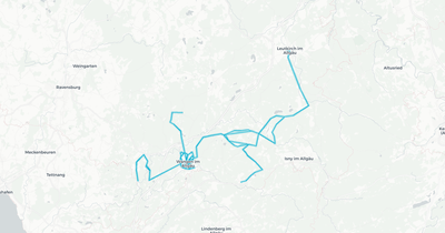 Liniennetz von Buchmann