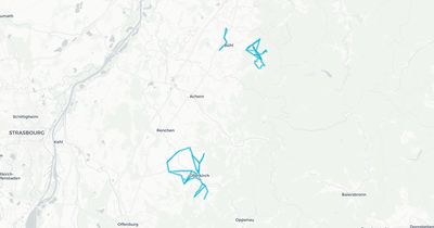 Liniennetz von Bus Faller