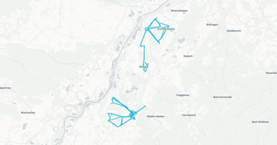 Liniennetz von Bus NVW (Walz)
