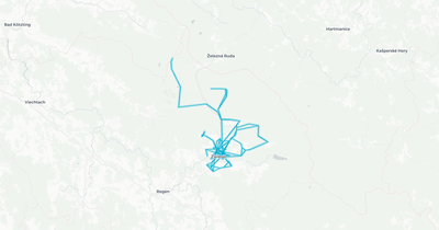 Liniennetz von Bus14