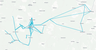Liniennetz von Busverkehr Wissmüller