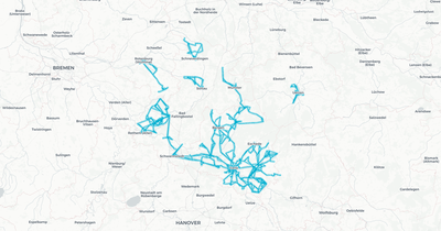 Liniennetz von Cebus