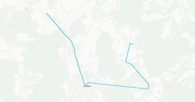 Liniennetz von DB Regio Bus Südwest GmbH