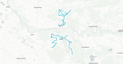 Liniennetz von Dessauer Verkehrsgesellschaft