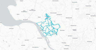 Liniennetz von die linie