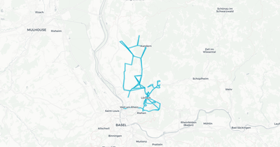 Liniennetz von Emmendingen