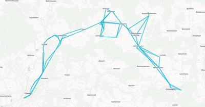 Liniennetz von Erletz