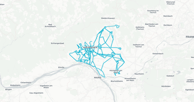 Liniennetz von ESWE Verkehrsgesellschaft mbH